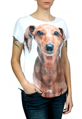 camiseta-com-estampa-dachshund